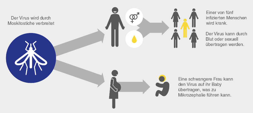 Zika Übertragung